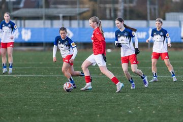 Bild 369 - wBJ Hamburger SV - Holstein Kiel : Ergebnis: 8:0